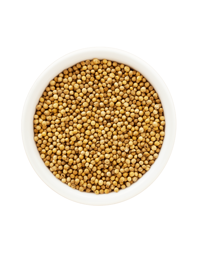 Coriander Seeds