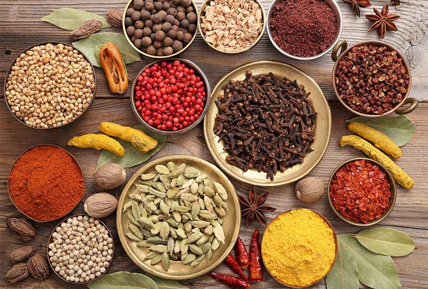 The Magic of Indian Spices